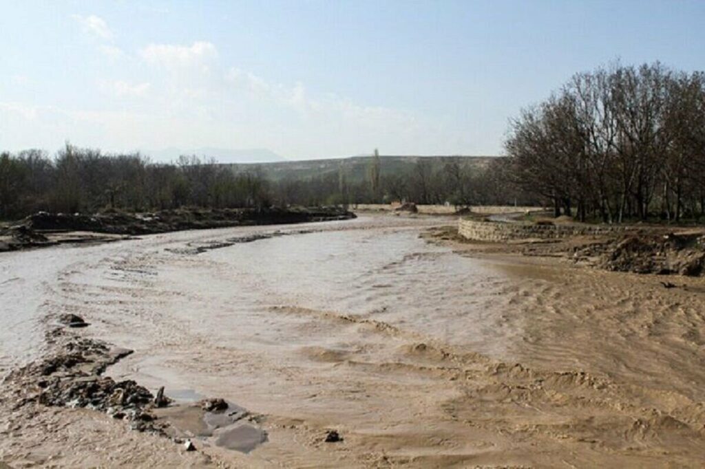 ببینید | نجات جان چند جوان عربستانی گرفتار در سیل با لودر