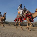 ببینید | مسابقه شترسواری زنان در عربستان!