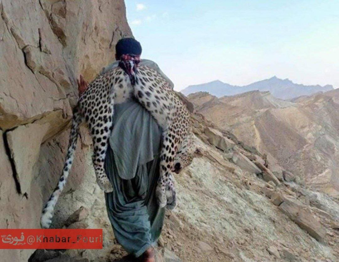 عکس | عکسی تلخ از شکار پلنگ ایرانی توسط شکارچی پاکستانی