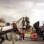 ببینید | تصاویر تلخ از وضعیت اسفناک و درد کشیدن یک اسب در نقش جهان اصفهان