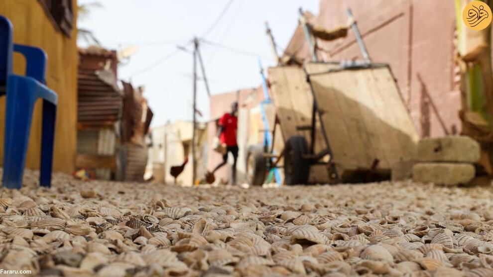 (تصاویر) جزیره صدف دریایی