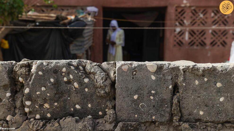 (تصاویر) جزیره صدف دریایی