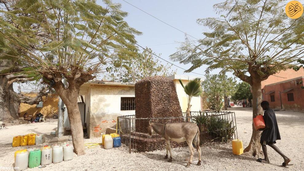 (تصاویر) جزیره صدف دریایی