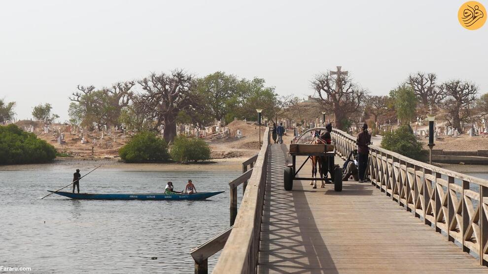 (تصاویر) جزیره صدف دریایی