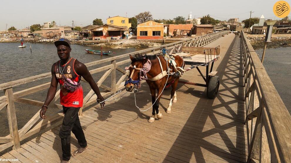 (تصاویر) جزیره صدف دریایی