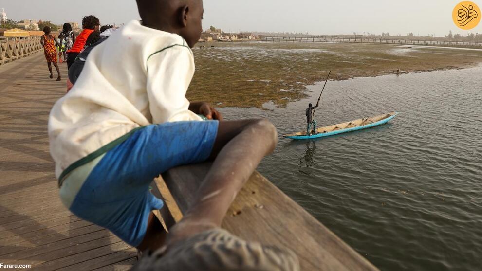 (تصاویر) جزیره صدف دریایی