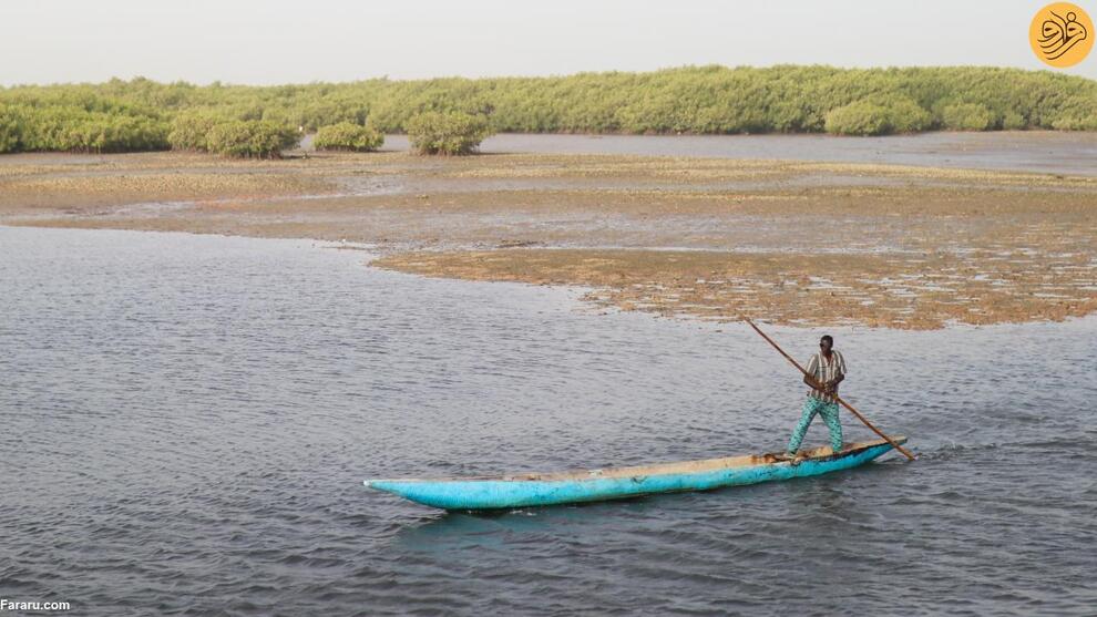 (تصاویر) جزیره صدف دریایی