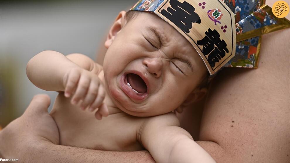 (تصاویر) تلاش کشتی‌گیران غول پیکر برای درآوردن گریه نوزادان