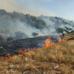 ببینید/ تصاویری از آتش سوزی مراتع سرپل ذهاب