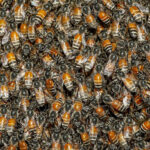 ببینید | حرکت باورنکردنی یک شهروند؛ طراحی و نصب کندوی زنبور عسل وسط سالن پذیرایی خانه!
