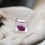 ببینید | اولین قلب پرینتِ سه بعدی با استفاده از بافت سلولی خود بیمار!