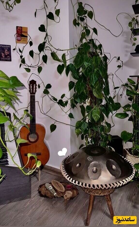 عکس | نگاهی به دکوراسیون جدید خانه سرسبز ستاره معصومی همسر سابق مهدی قایدی عکس | نگاهی به دکوراسیون جدید خانه سرسبز ستاره معصومی همسر سابق مهدی قایدی