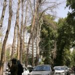 تصاویر | توضیحات خبرگزاری خبرآنلاین درباره بازنشر خبر قطع درختان در خیابان ولیعصر