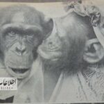 تصاویر | مراسم ازدواج ۲ میمون در باغ وحش تهران!