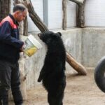 ببینید | نگهداری خرس سیاه بلوچی در حال انقراض در یک قفس با شیر و سگ در باغ‌وحش سیرجان!