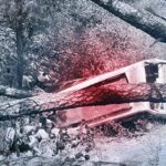 ببینید | اولین تصاویر از سقوط مرگبار اتوبوس به داخل دره در جاده کوهستانی