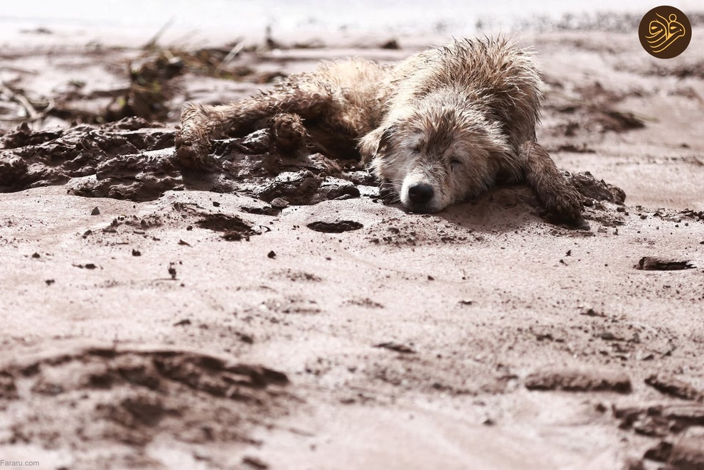 تصاویر خیره کننده از وسعت سیل در جنوب برزیل