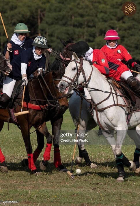 (تصاویر) زنان چوگان‌باز ایرانی