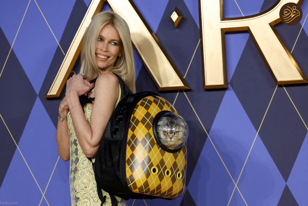 (تصاویر) حیوانات روی فرش قرمز کن