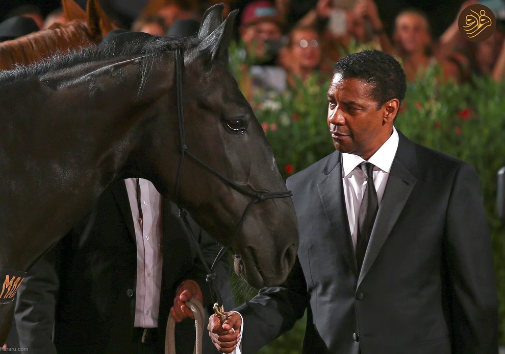 (تصاویر) حیوانات روی فرش قرمز کن