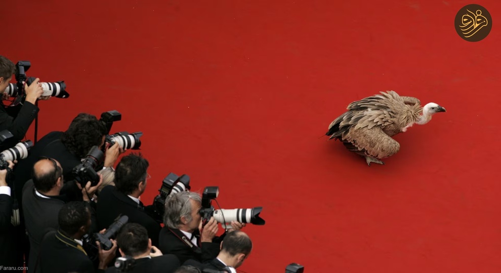 (تصاویر) حیوانات روی فرش قرمز کن