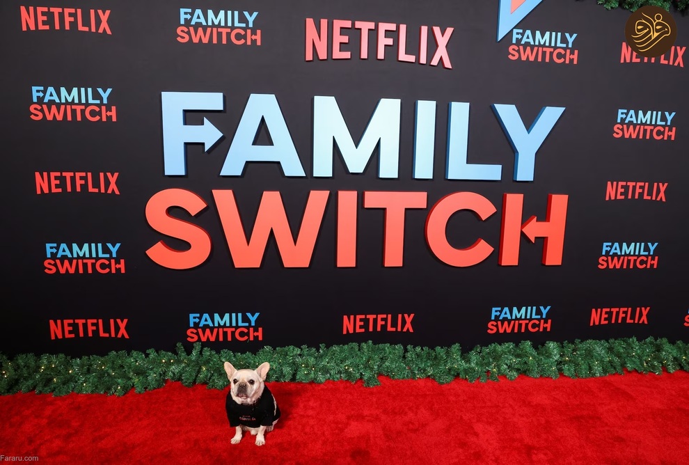 (تصاویر) حیوانات روی فرش قرمز کن