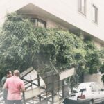 ببینید/ ورود توده گرد و خاک به تهران؛ ۲۴ خرداد ۱۴۰۳