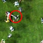 ببینید / نمای واضح از کتک خوردن سیاوش یزدانی از یک مربی گل گهری در بازی دیشب