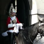 ببینید | رفتار متفاوت و جالب اسب کاخ باکینگهام انگلیس با یک سرخ‌پوست
