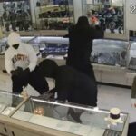 ببینید | دزدی گروهی از جواهرفروشی در کالیفرنیا