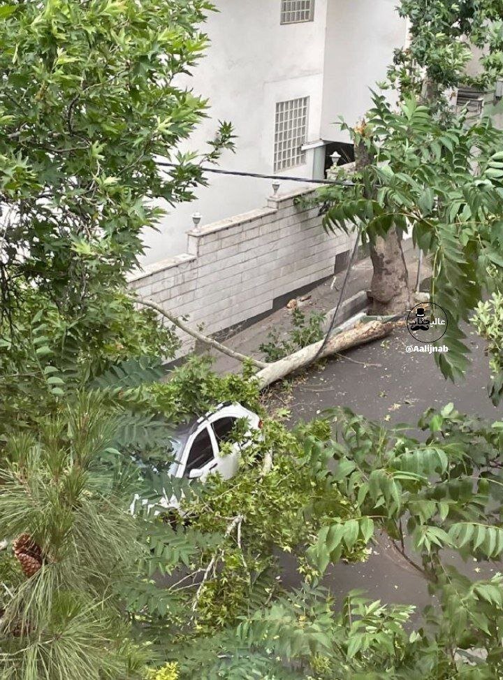 عکس | طوفان در تهران خسارت به پا کرد عکس | طوفان در تهران خسارت به پا کرد