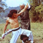 ۱۰ فیلم رزمی دیدنی اما گمنامی که باید ببینید؛ از Fearless Hyena تا Avenging Eagle