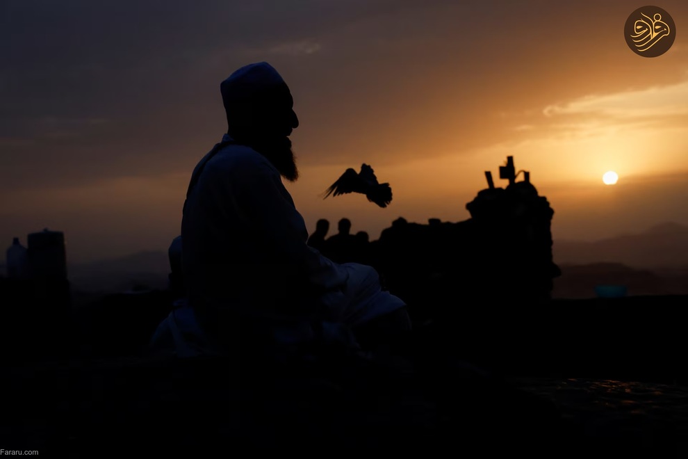 (تصاویر) موسم حج؛ از کبوتر و گربه‌بازی تا طواف خانه خدا