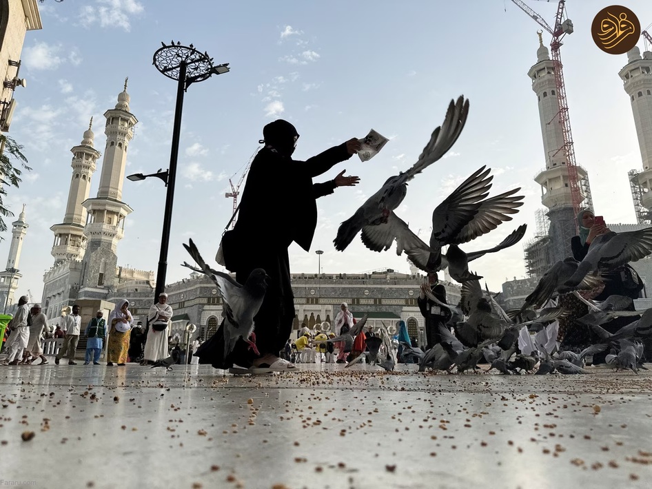 (تصاویر) موسم حج؛ از کبوتر و گربه‌بازی تا طواف خانه خدا