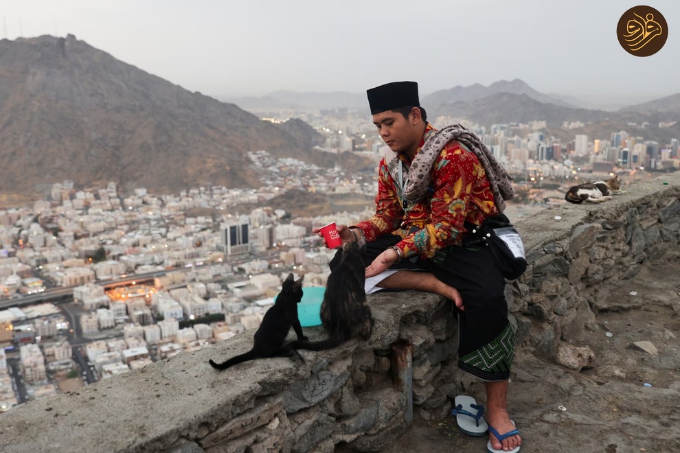 (تصاویر) موسم حج؛ از کبوتر و گربه‌بازی تا طواف خانه خدا