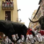 ببینید/ جشنواره پامپلونا در اسپانیا؛ مردانی که ضرب شاخ گاوهای نر خشمگین را به جان می‌خرند