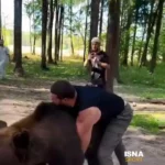 ویدیو | کشتی ورزشکار نامدار روسیه با یک خرس