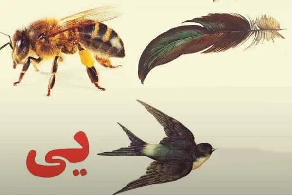 معما بزرگسالان با جواب + معما تصویری تست هوش با جواب سخت معمای تصویری اسم با جواب: تصویر زیر نام کدام بازیگر است؟