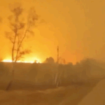 ببینید / آتش سوزی وحشتناک جنگل های روسیه