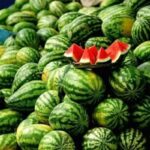 ببینید | گزارش صداوسیما درخصوص انتشار اخبار غیررسمی از بازار روسیه مبنی بر وجود نیترات در هندوانه ایرانی