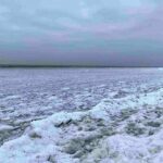 ببینید | نجات حیوان گرفتار شده در بین آب‌های یخ بسته در روسیه