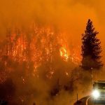 ببینید | آتش‌سوزی جنگلی گسترده در کالیفرنیا؛ دستور تخلیه صادر شد