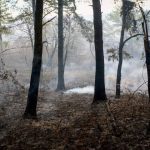 تلاش بی‌وقفه نیروهای امدادی و مردمی برای مهار آتش در جنگل ابر