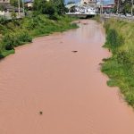 ببینید | رودخانه‌ای در روستوف روسیه به رنگ سبز در آمد