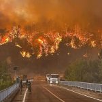 ببینید | آتش‌سوزی گسترده در مناطق جنگلی شمال‌غرب ترکیه