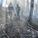 اطفای حریق در جنگل ابر؛ تلاشی جمعی برای نجات طبیعت