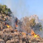 درخواست فوری برای مهار آتش‌سوزی جنگل‌ها و مراتع زرنه ایوان