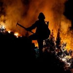 ببینید | آتش‌سوزی جنگلی در پارک ملی گرند کنیون در ایالات متحده  آمریکا