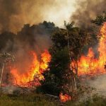 ببینید | آتش‌سوزی جنگلی در اسپانیا