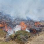 حریق در ۳۵ هکتار از مراتع جنگل نخاب شهرستان خوسف